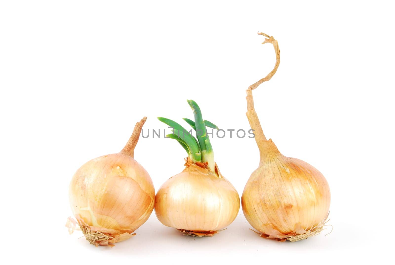 bunch of onions isolated on white background
