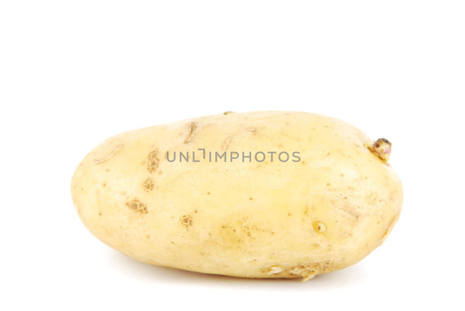 one unpeeled yellow potato isolated on white background