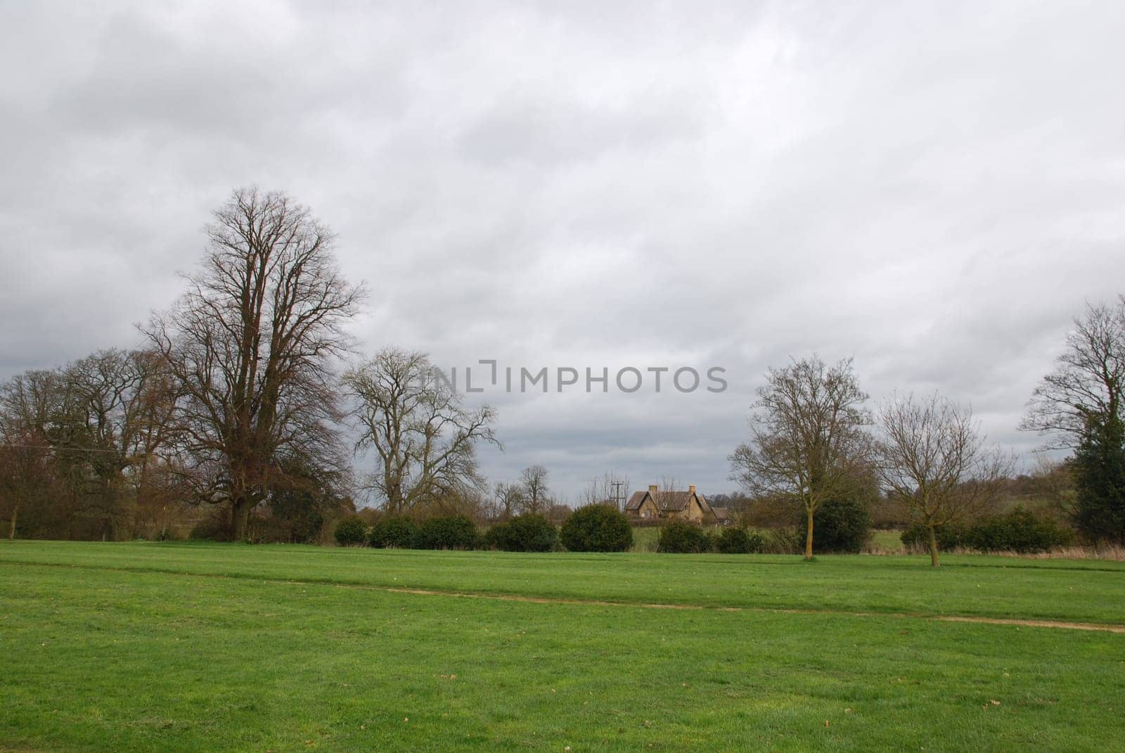 rural landscape at the british countryside
