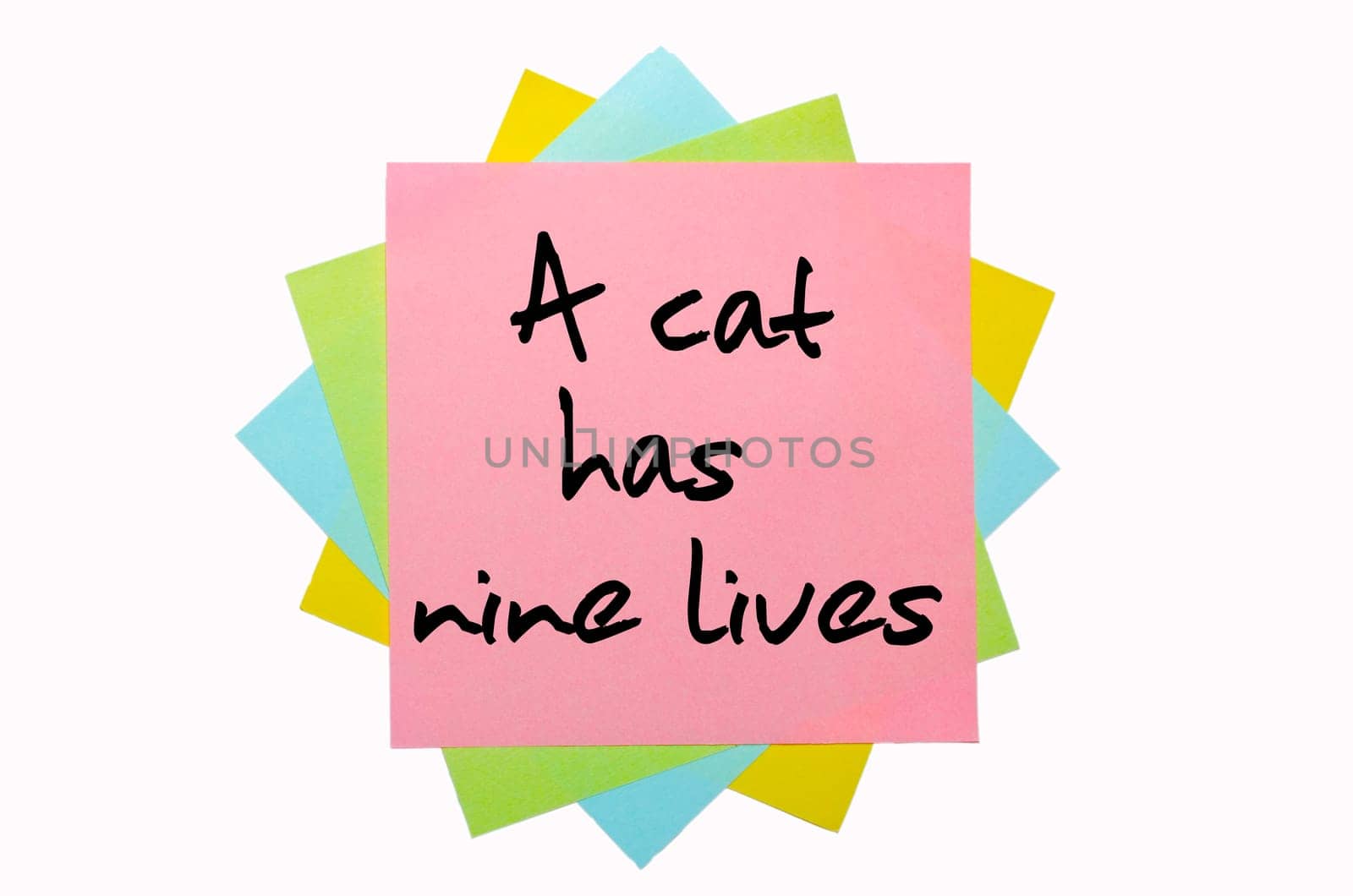 text "A cat has nine lives"" written by hand font on bunch of colored sticky notes"