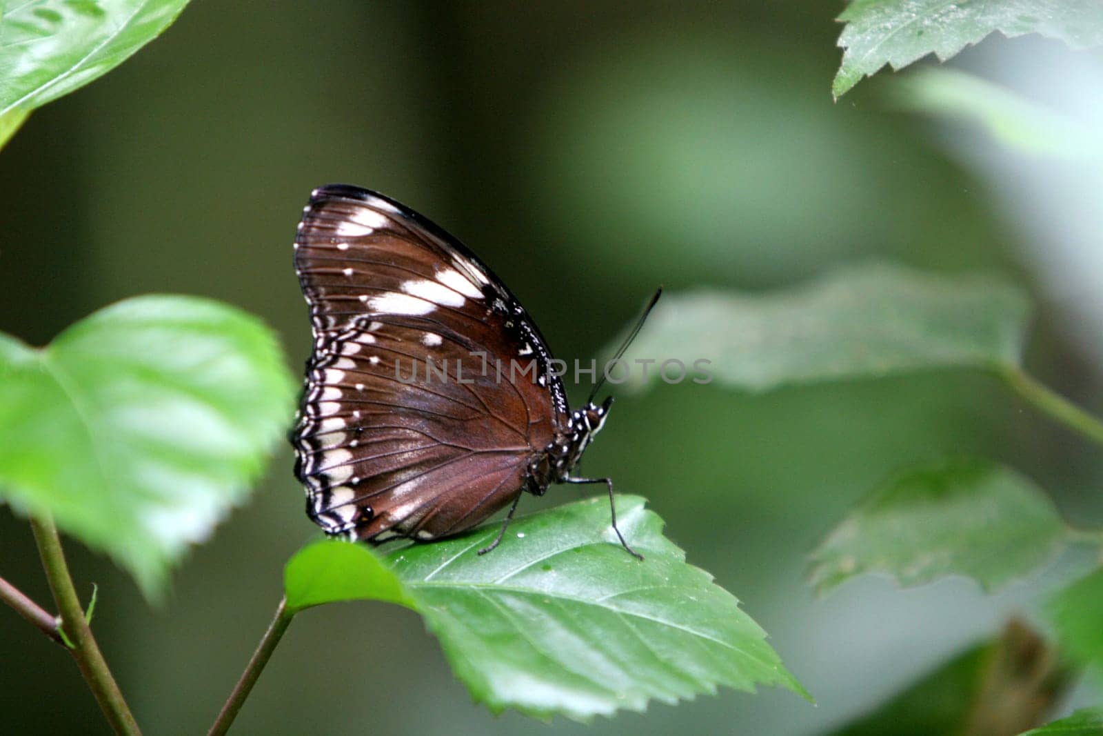 nature landscape or nature unspoiled or nature