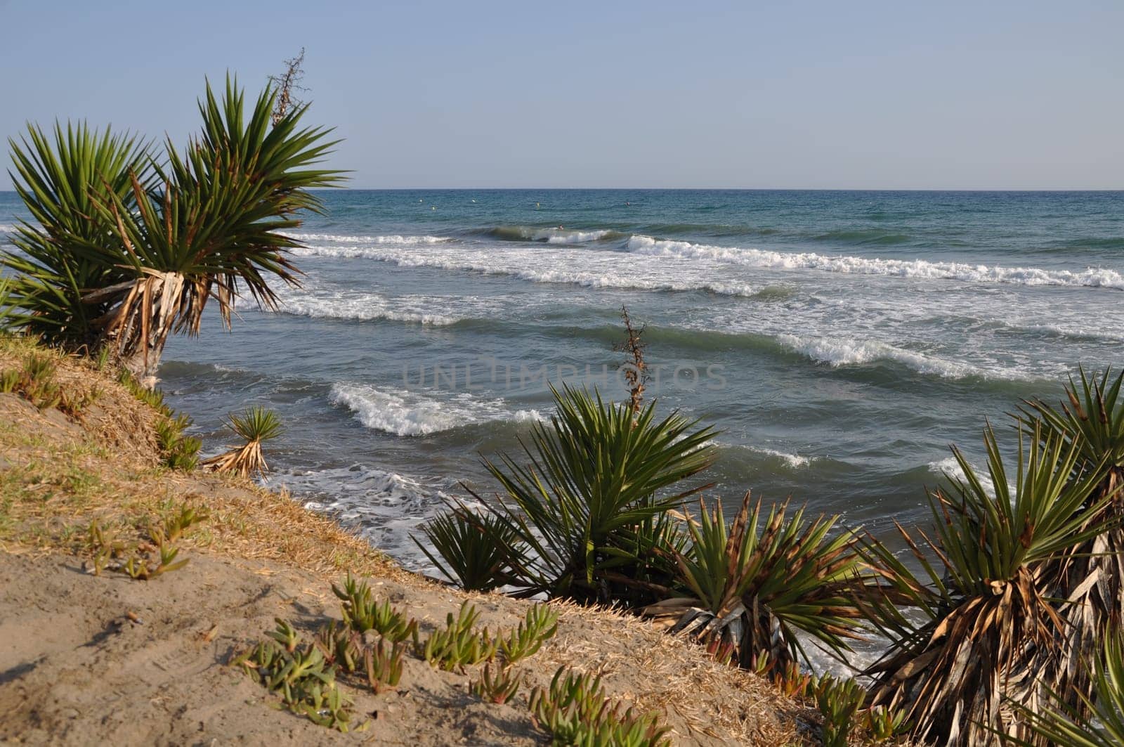 beautiful beach scene in Costa del Sol (Marbella), Spain