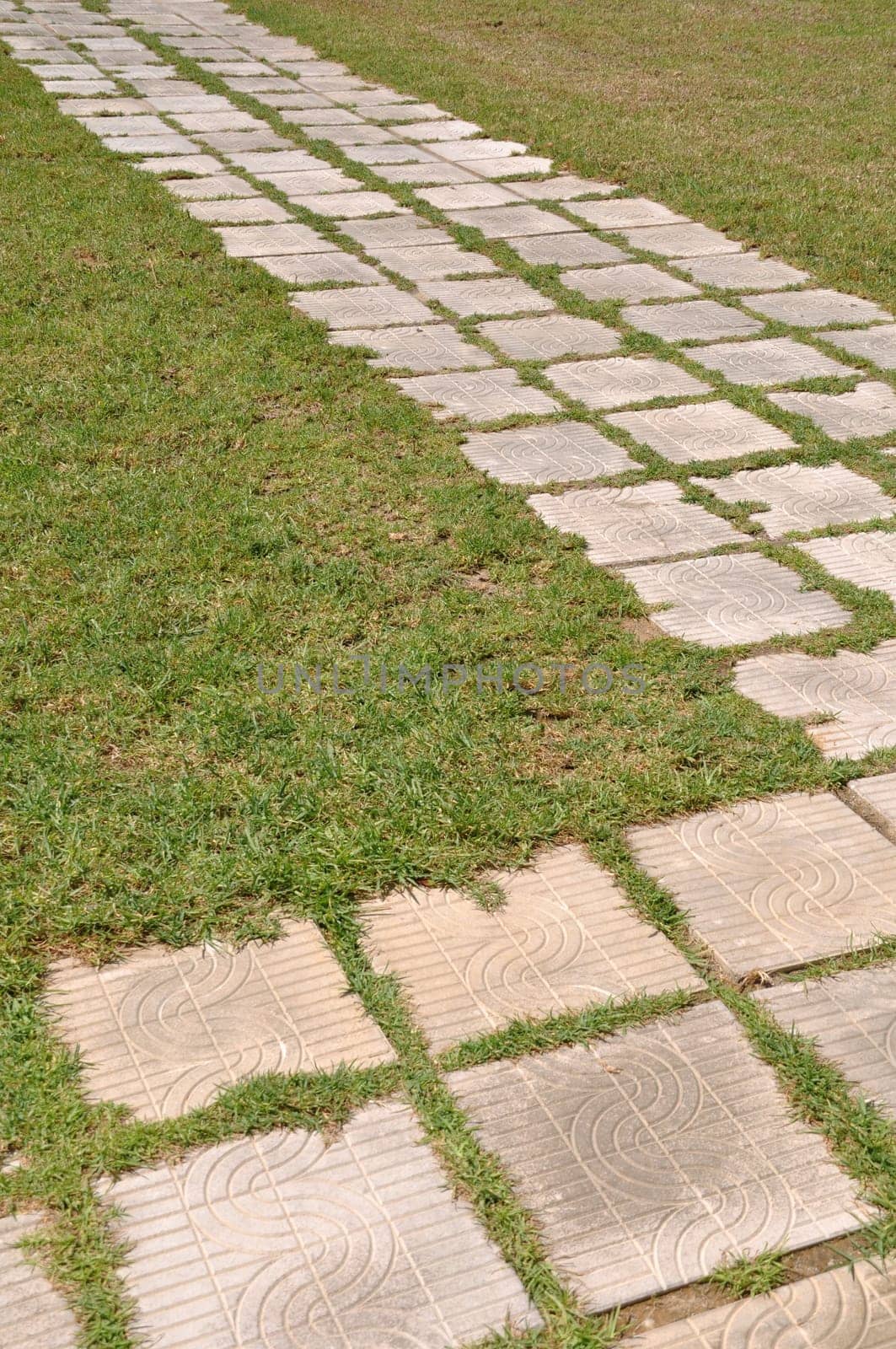 concept of success, challenge and destination (stones on a lawn park regarding phases and goals)