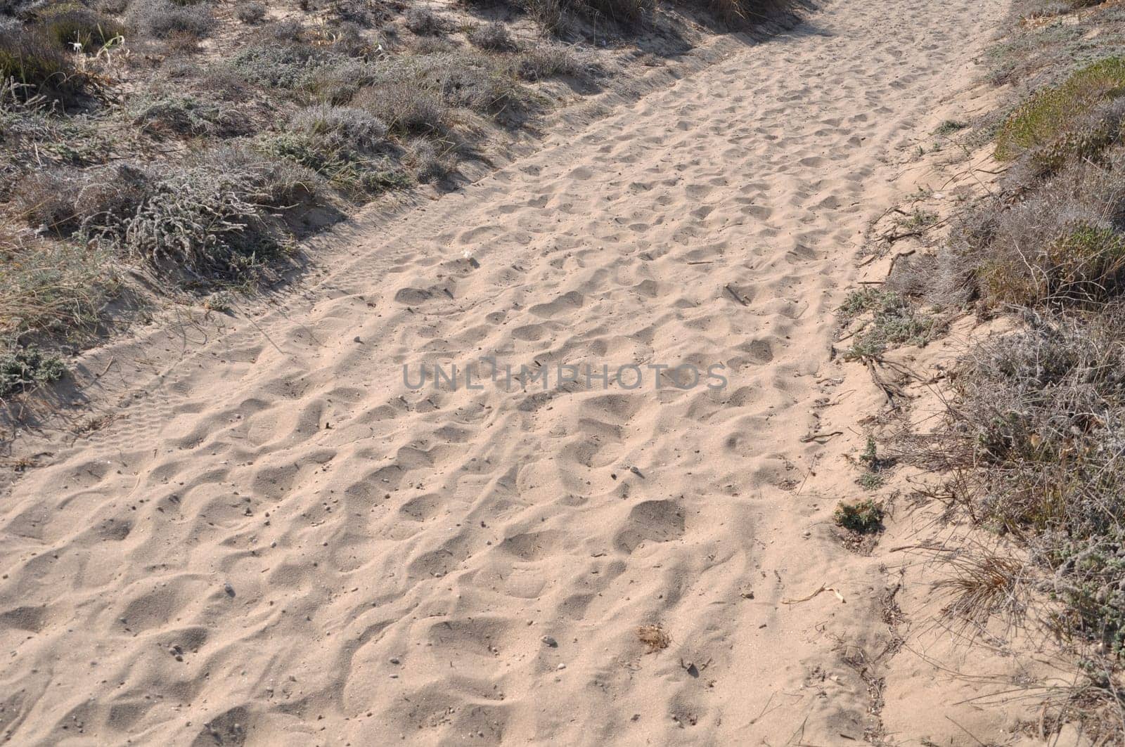 walkway over sand dunes to a beach in Kos island, Greece