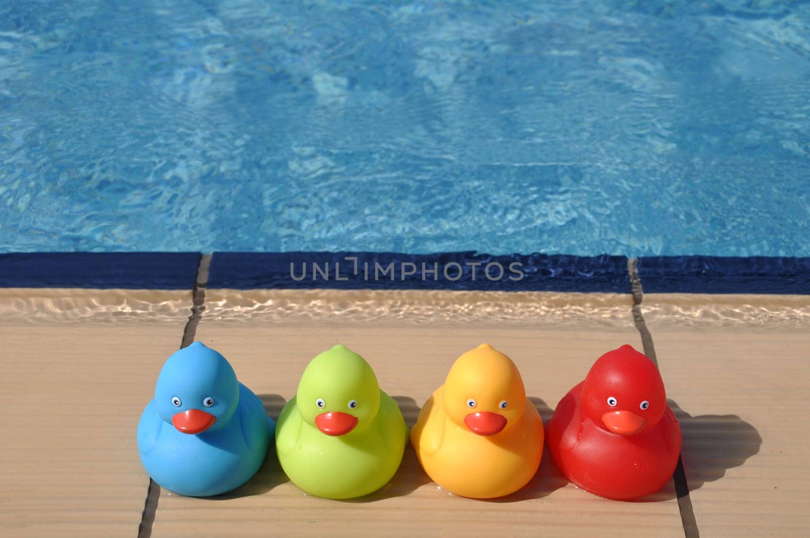 four colorful rubber ducks at the pool side (kids toy)