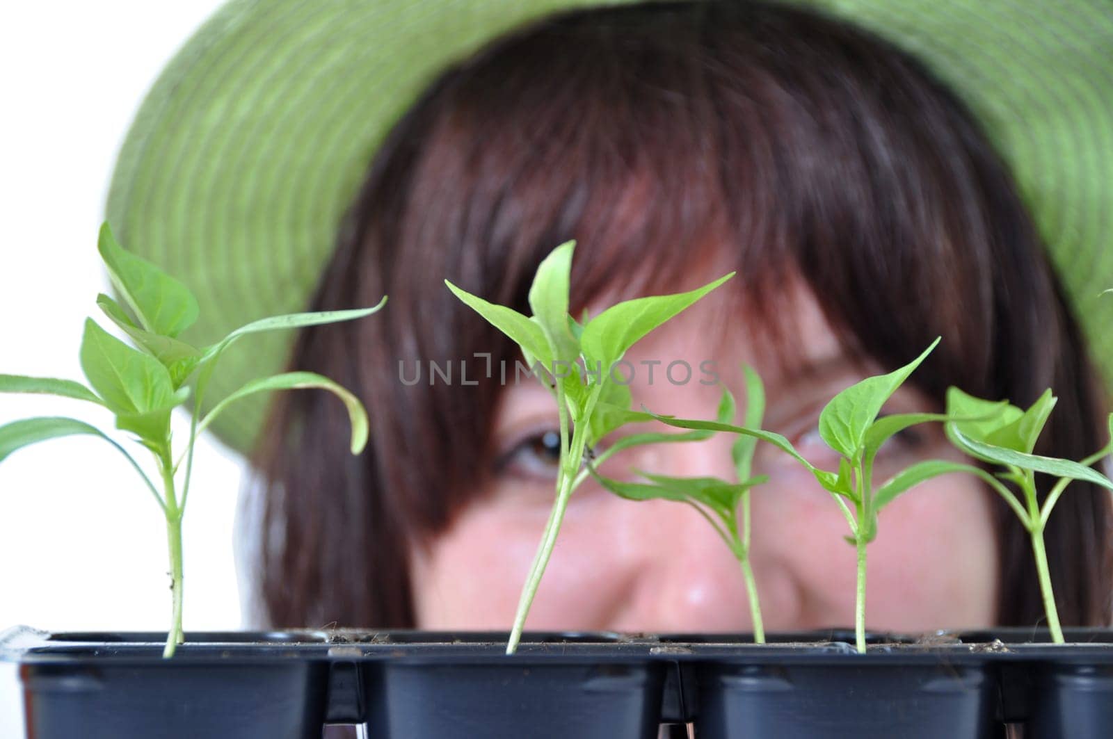 caring gardener looking after young plants isolated on white background