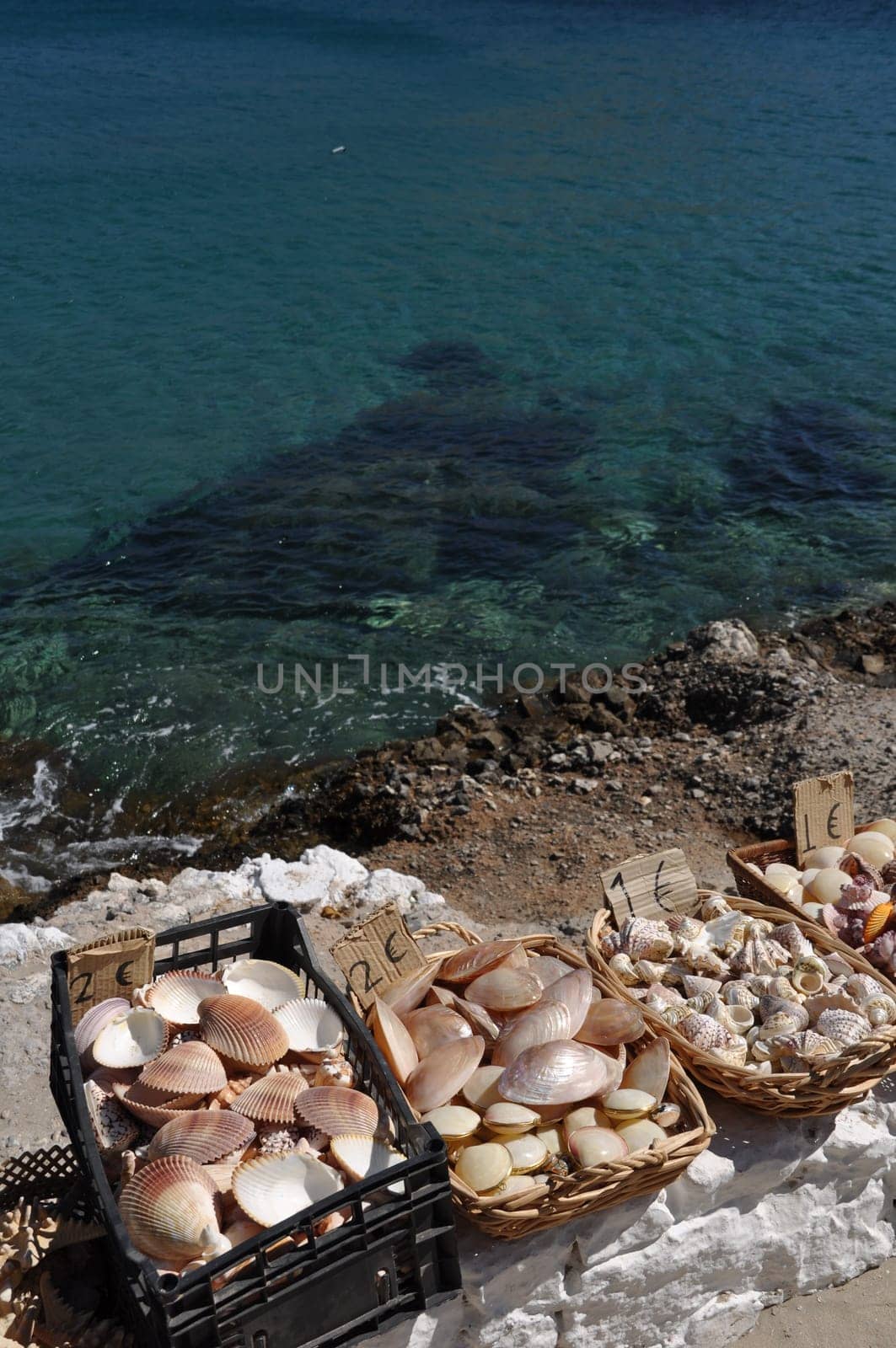 beautiful seashells on the bay of Pserimos island, Greece