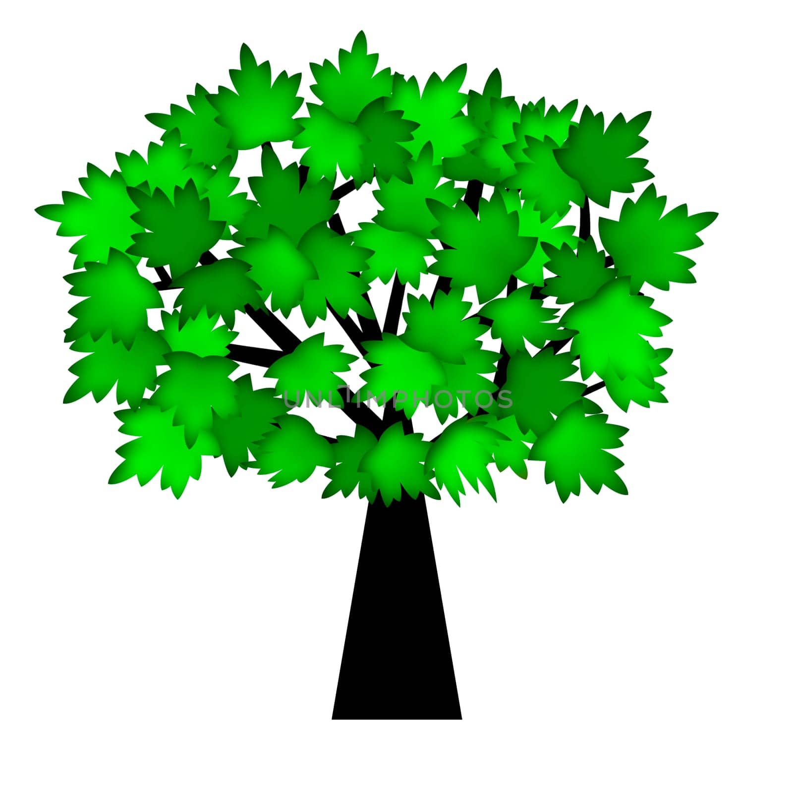 Green Leaves on Tree  in Summer Illustration Isolated on White Background