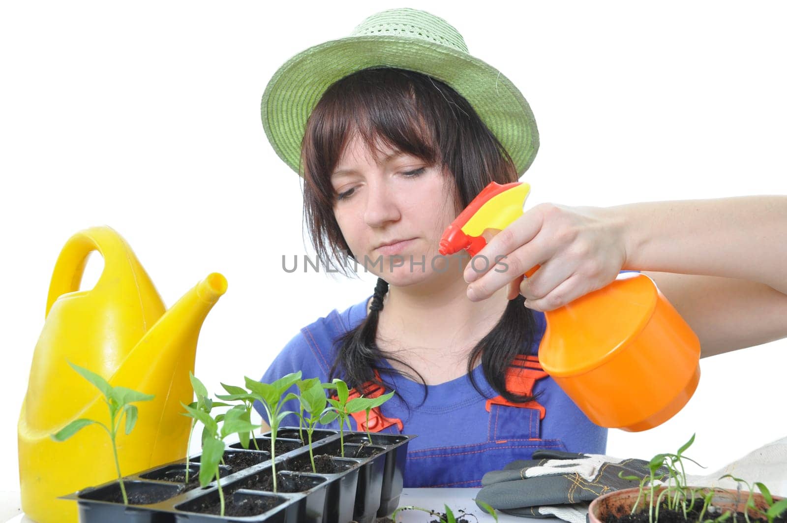 woman cultivation garden isolated on white background