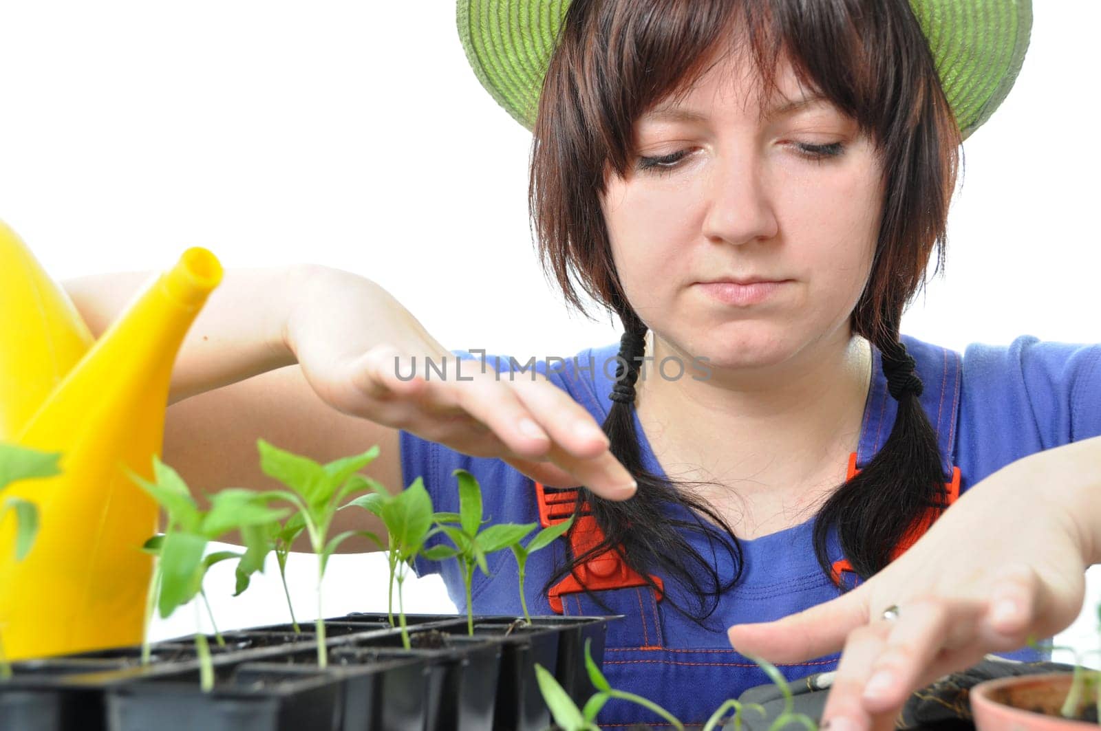 woman cultivation garden isolated on white background