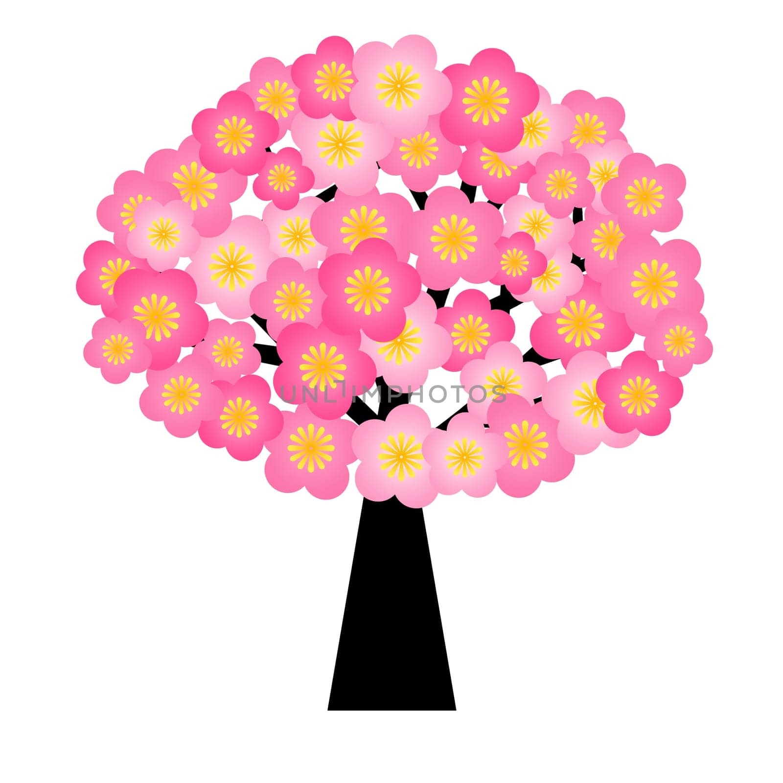 Spring Cherry Blossom Flowers Blooming on Tree Illustration Isolated on White Background