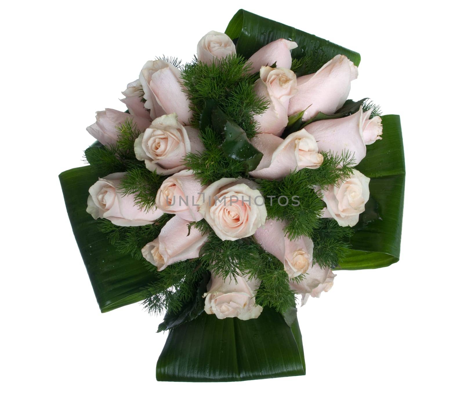 gorgeous bouquet of pink roses isolated on white background (from above)