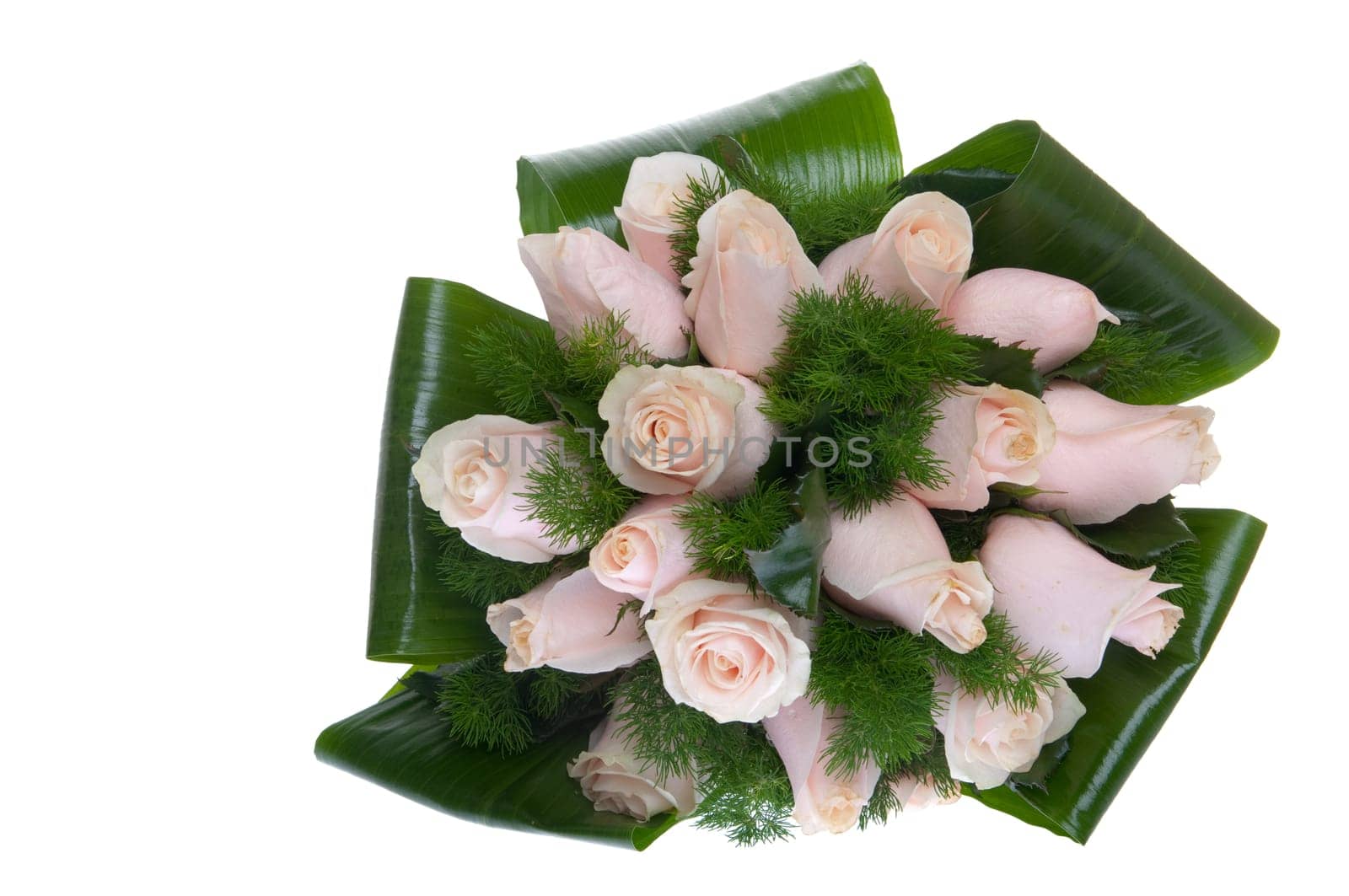 gorgeous bouquet of pink roses isolated on white background (front view)