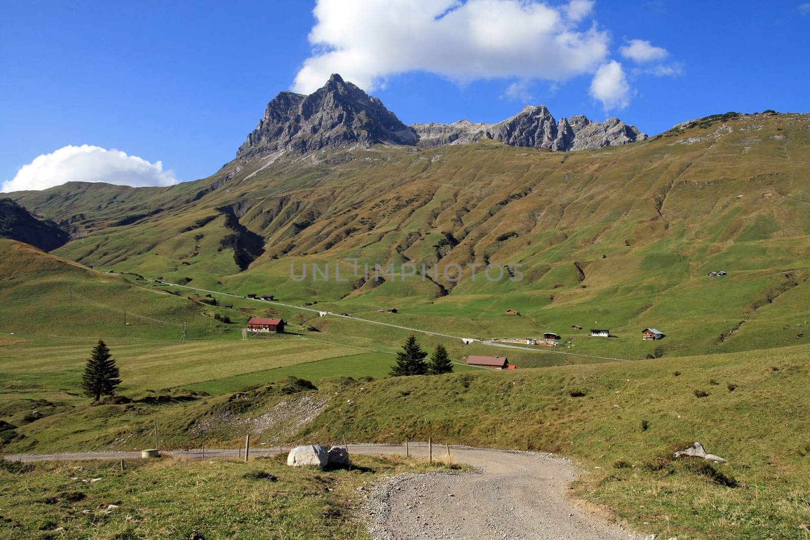 The way to the mountains
