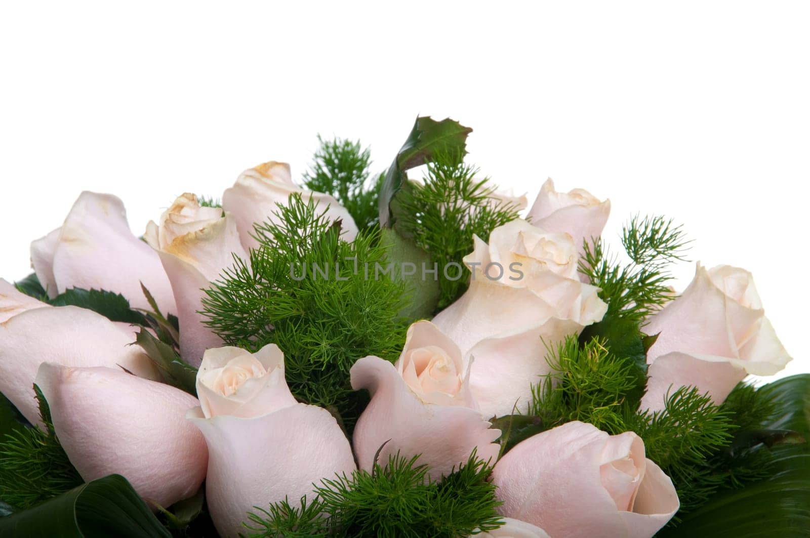 gorgeous bouquet of pink roses isolated on white background