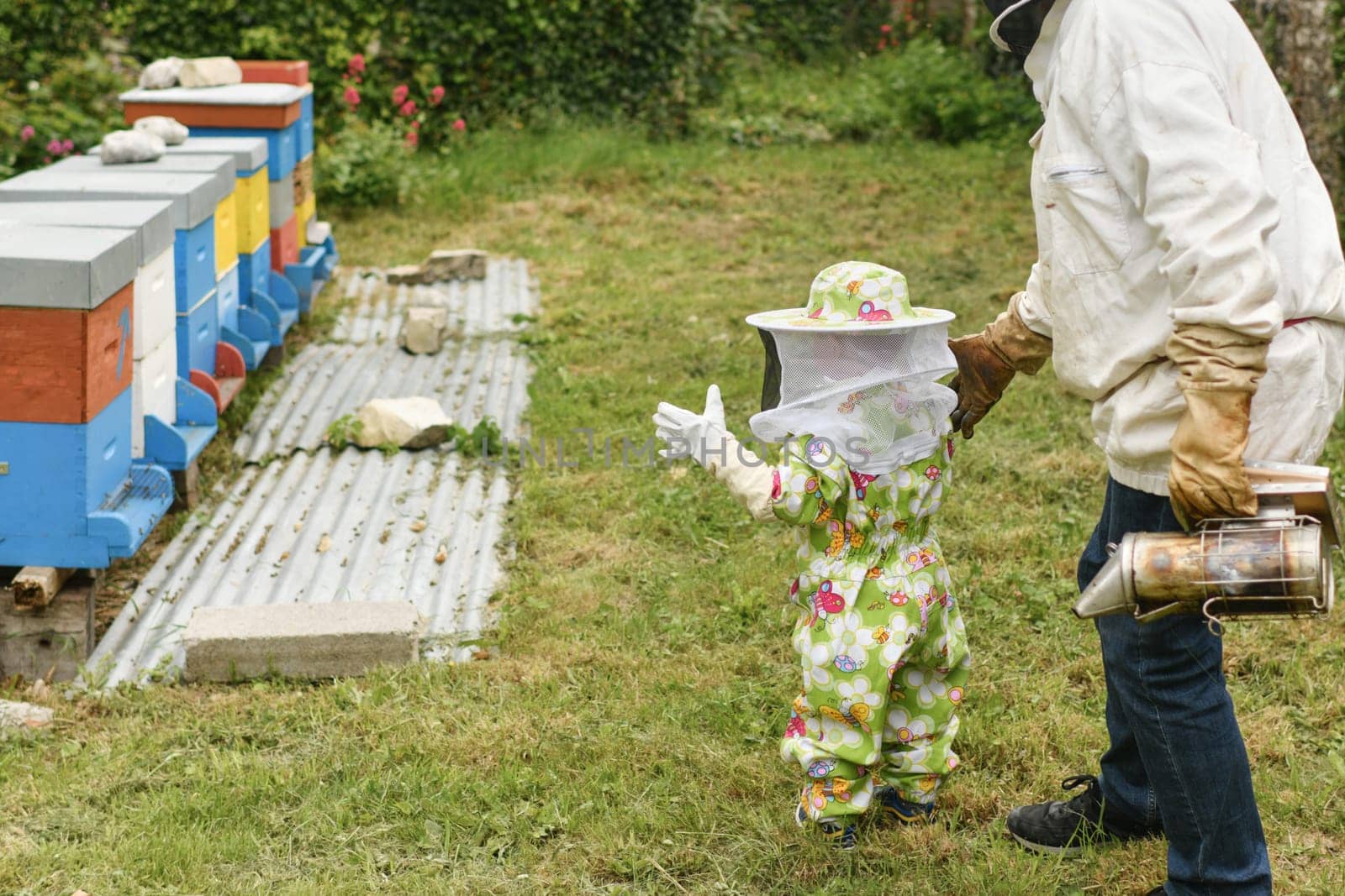 A beekeeper shows the beehive to the children