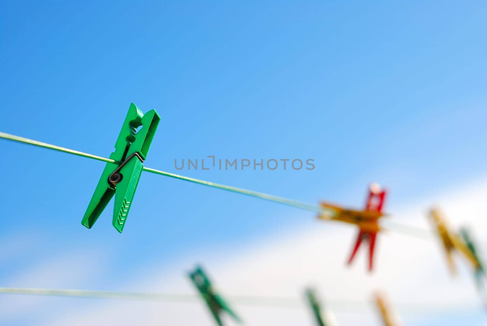 green clip in the sun