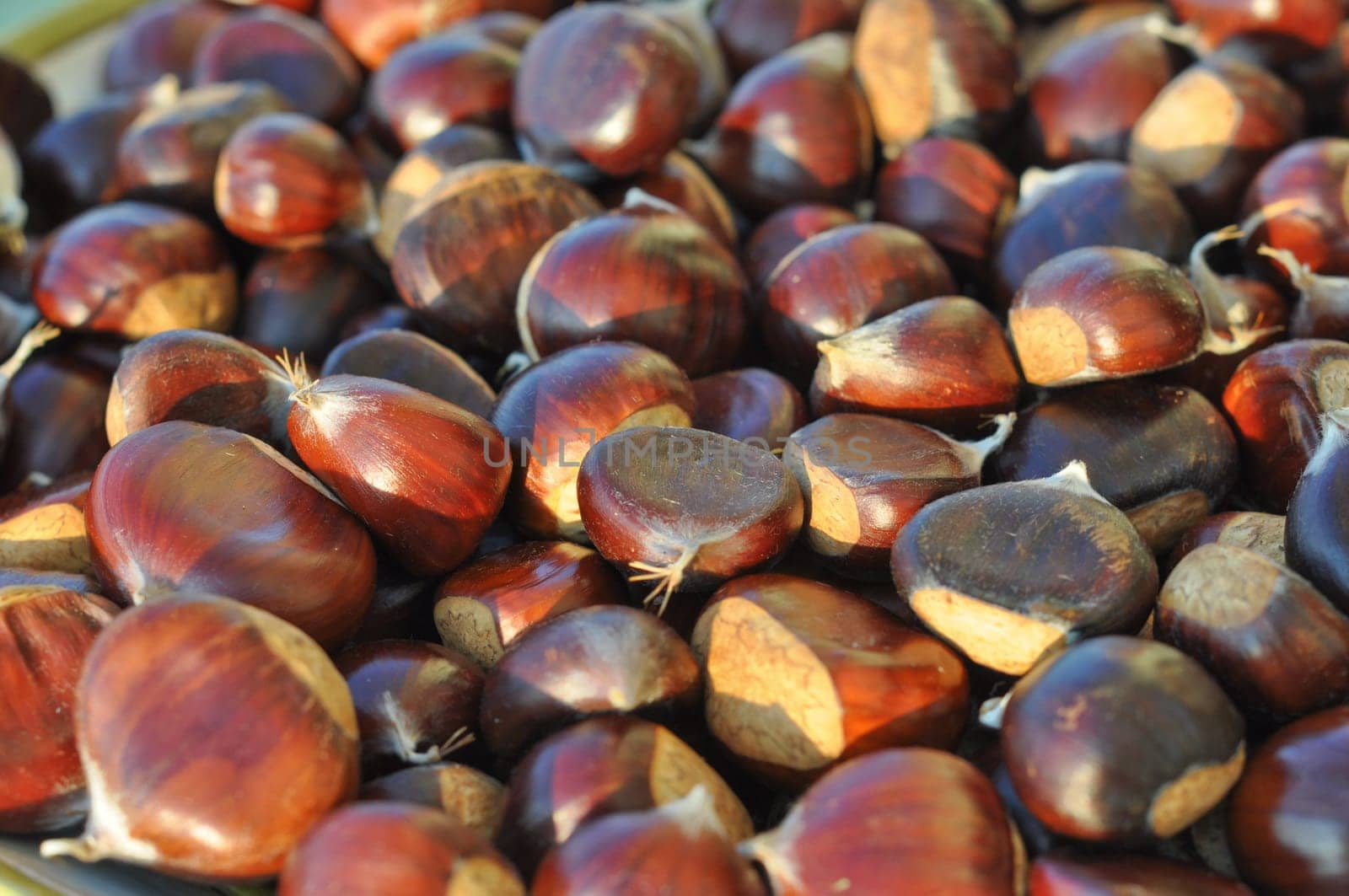 Many chestnuts useful as a food background