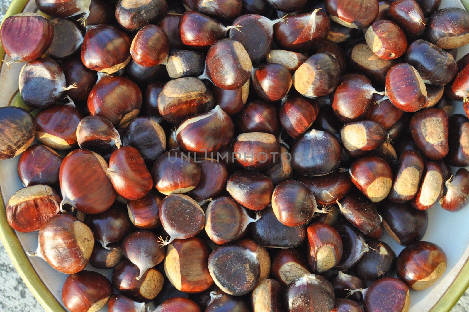 Many chestnuts useful as a food background