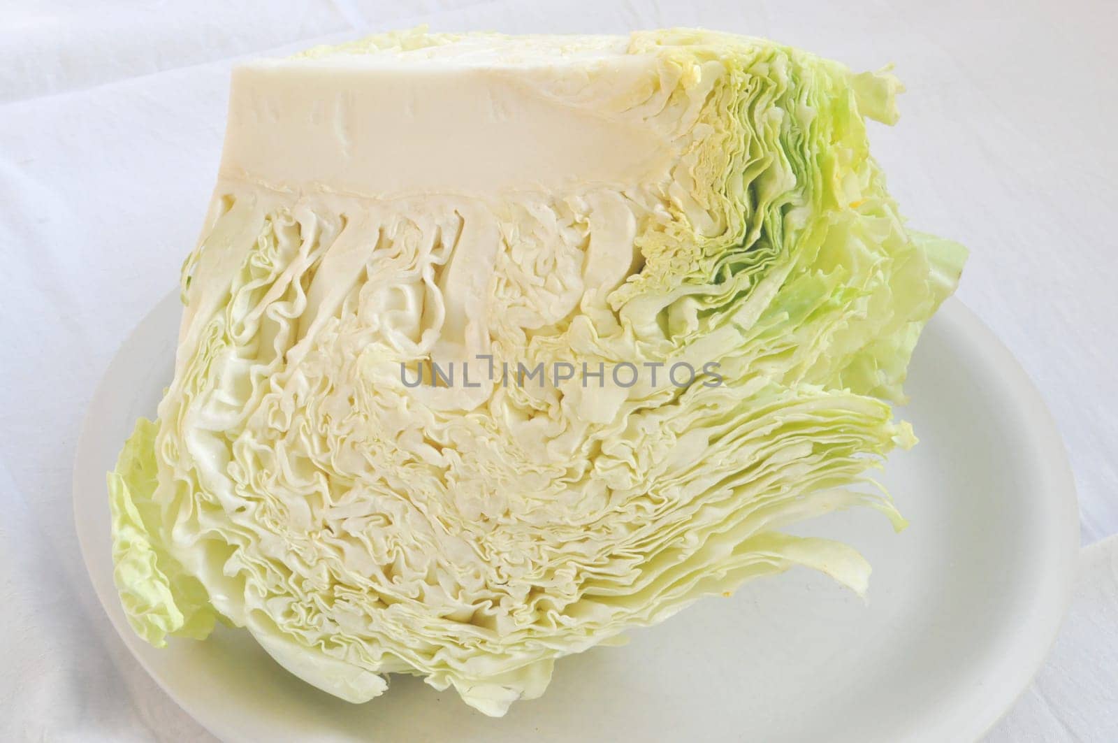 Cabbage leafy vegetable plant with edible leaves