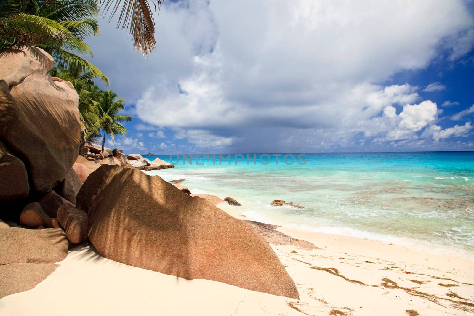Fantastic South Sea beach with palm trees and rocks