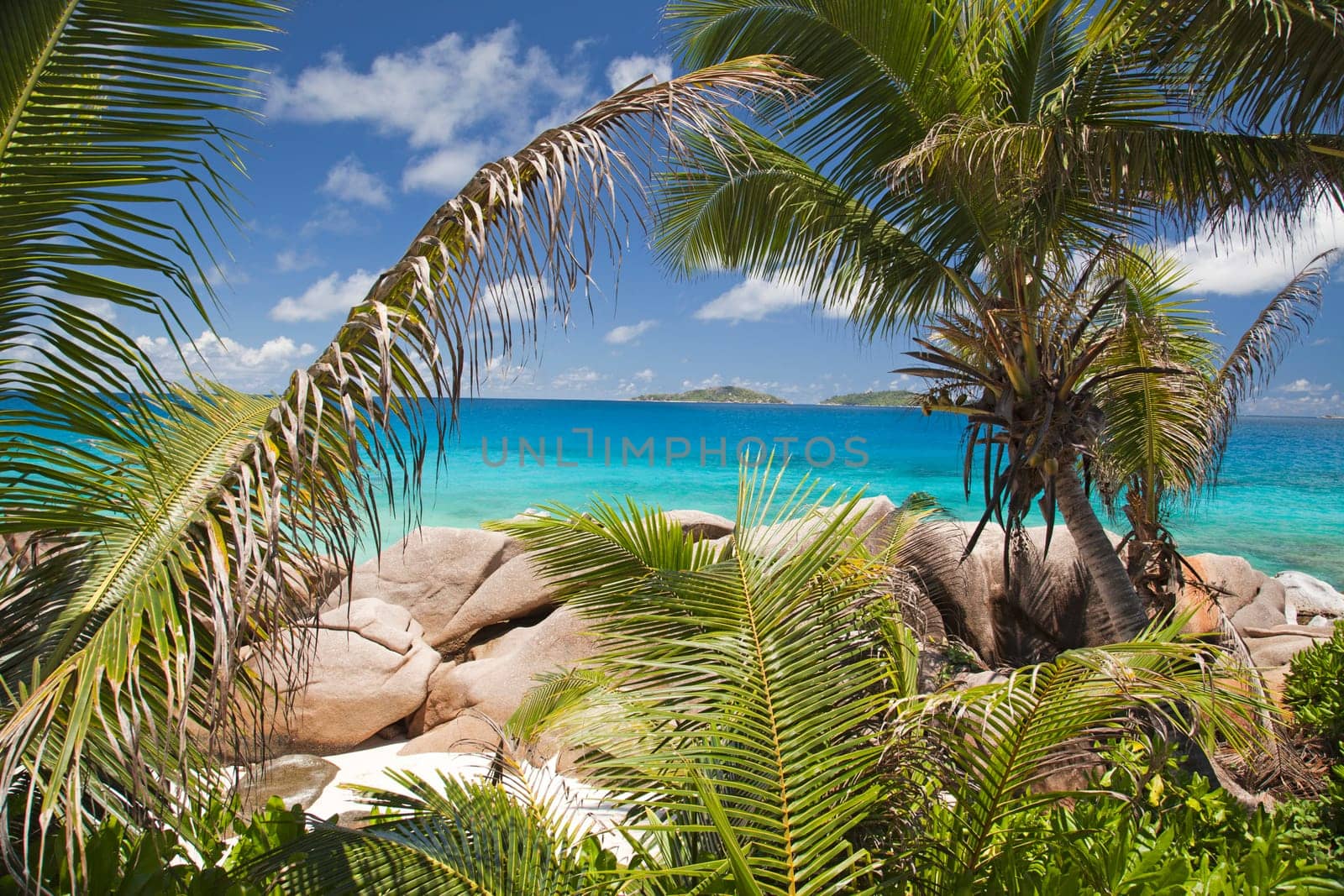 Palm trees in front of exotic beach and turquoise sea - horizontal