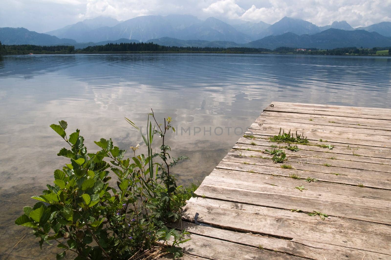 Wide-angle view of wooden jetty with small green bush at Hopfensee in the Allgäu / Bavaria
