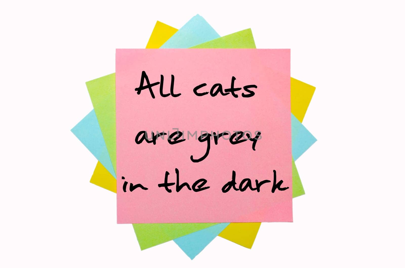 text "All cats are grey in the dark"" written by hand font on bunch of colored sticky notes"