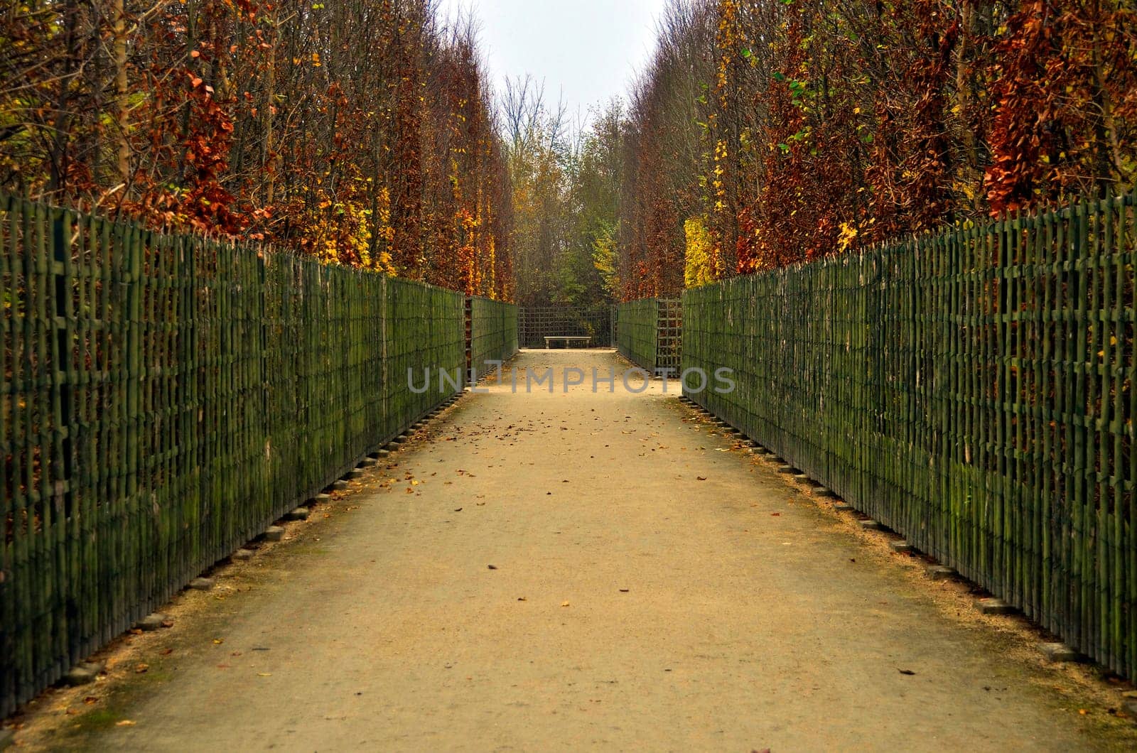 Footpath in autumn, Versailles gardens, France