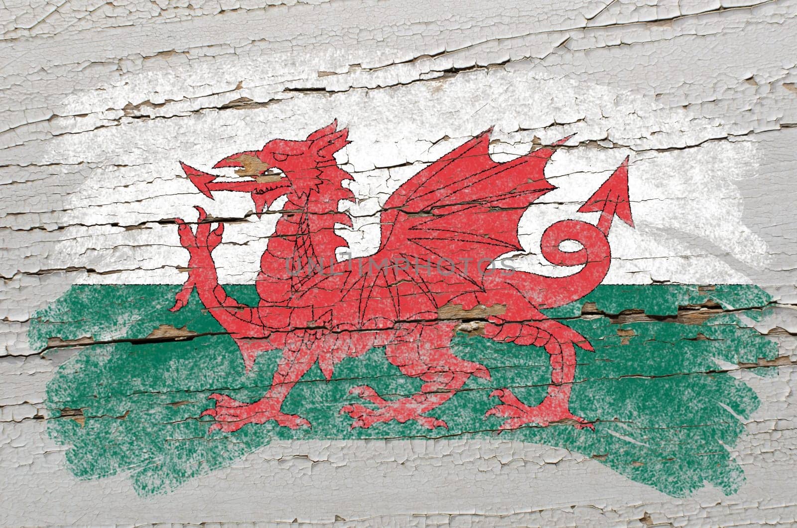 Chalky welsh flag painted with color chalk on grunge wooden texture