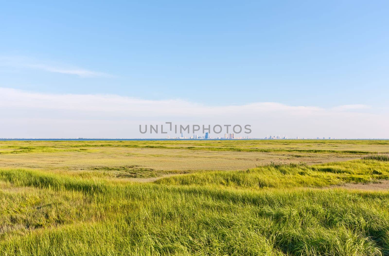 The Atlantic City, New Jersey skyline. The foreground is a marsh with green grass (Forsythe Nature Reserve).