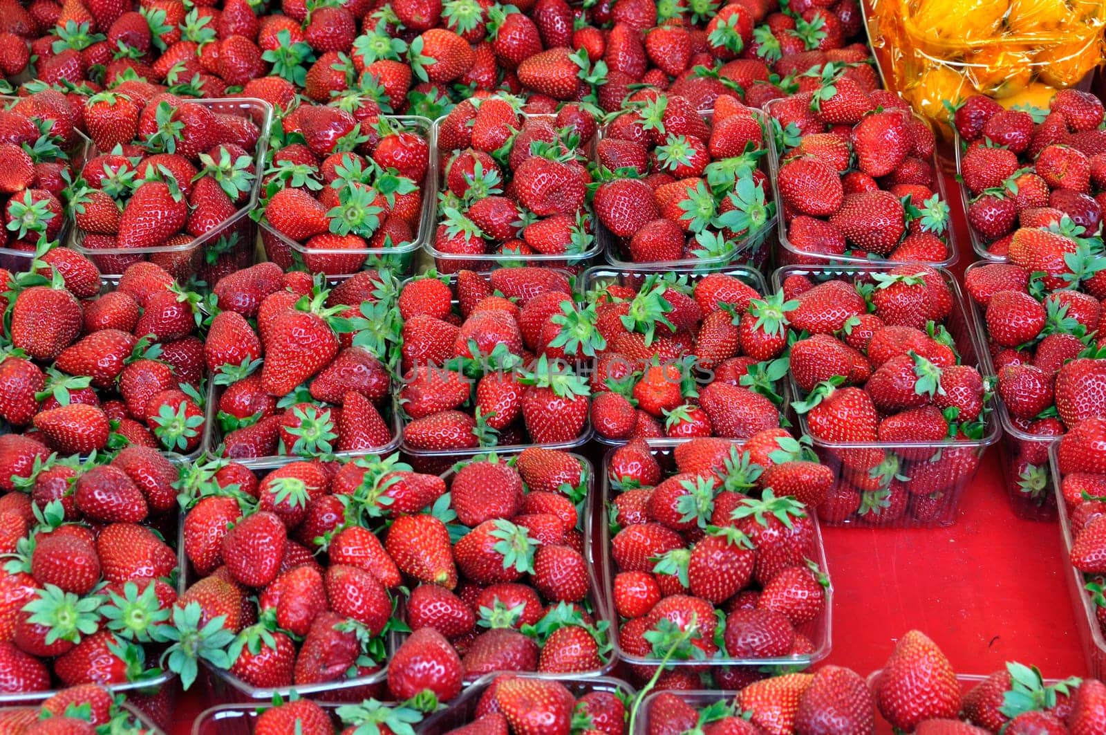 Ripe strawberries in plastic crates at grocery store. Fruit background.