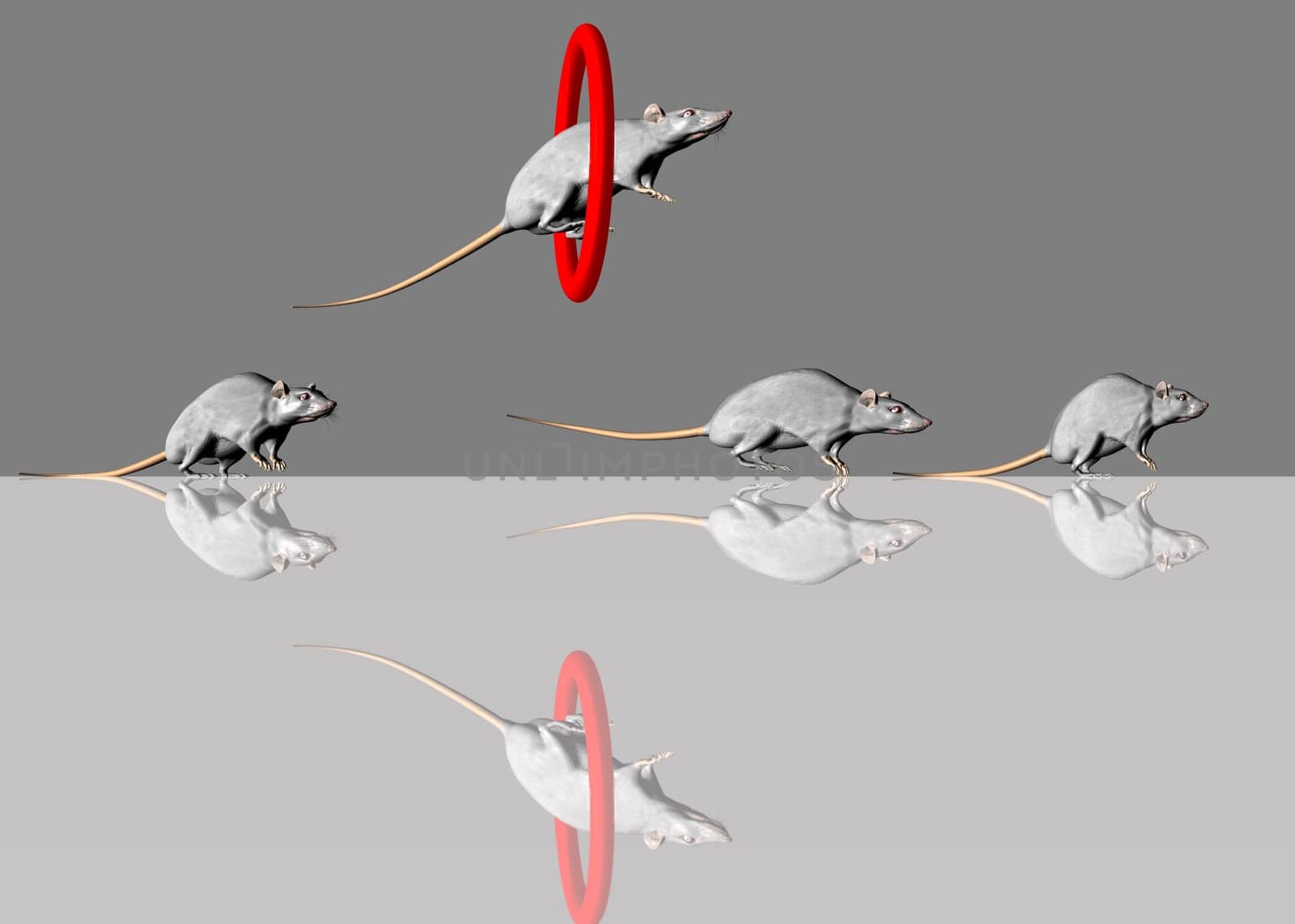 Mouse Circus