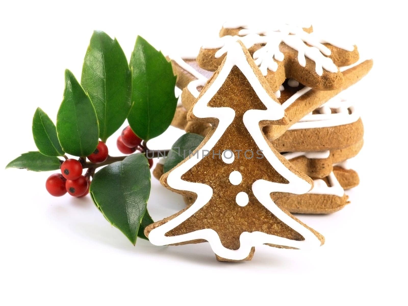 sweet food series: gingerbreads on white background