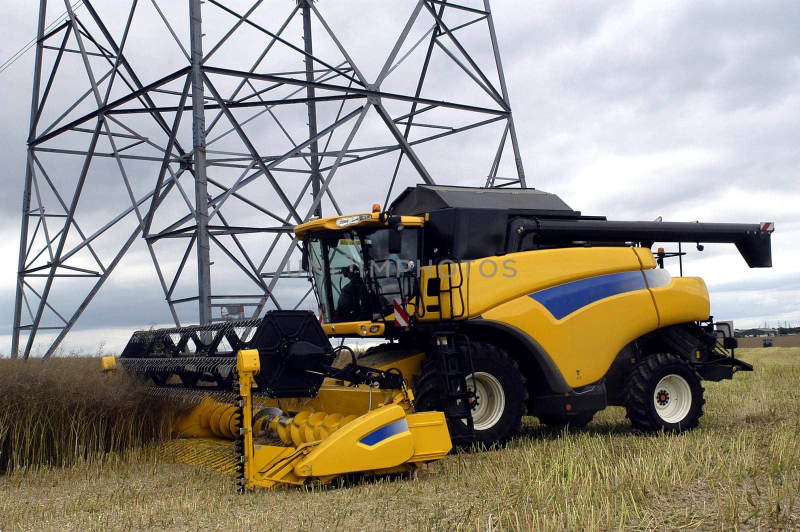 The harvest of colza with machines like a reaping-machine threshing-machine and tractor