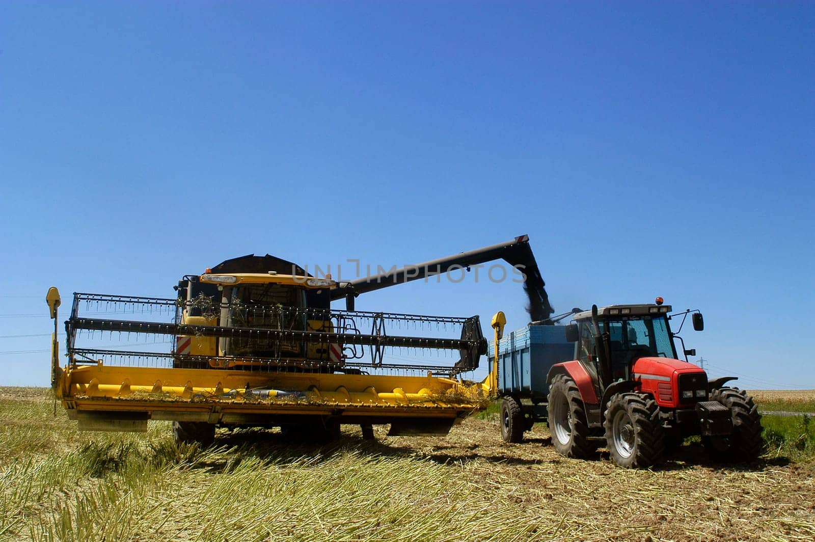 The harvest of colza with machines like a reaping-machine threshing-machine and tractor