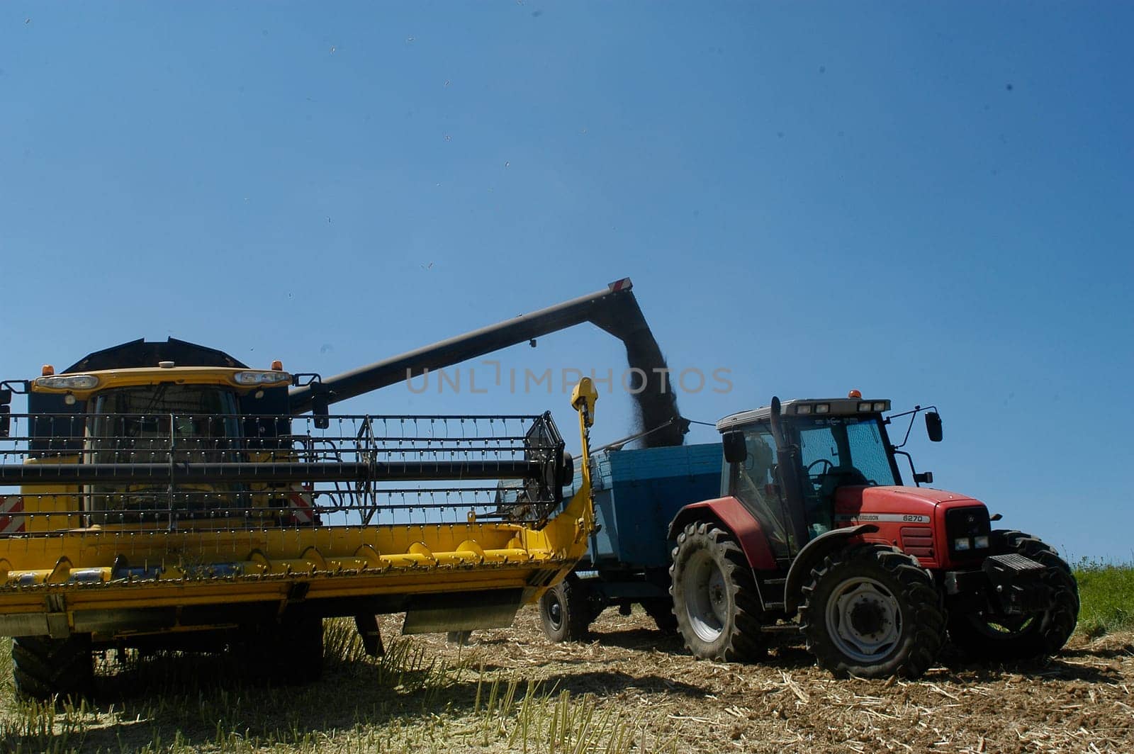 The harvest of colza with machines like a reaping-machine threshing-machine and tractor