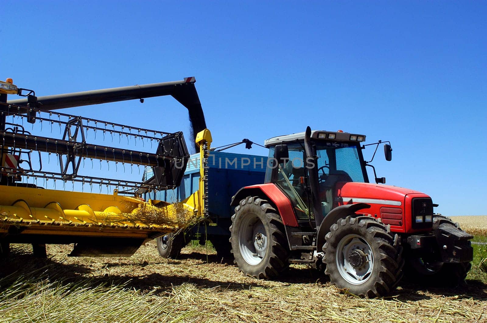 The harvest of colza with machines like a reaping-machine threshing-machine and tractor
