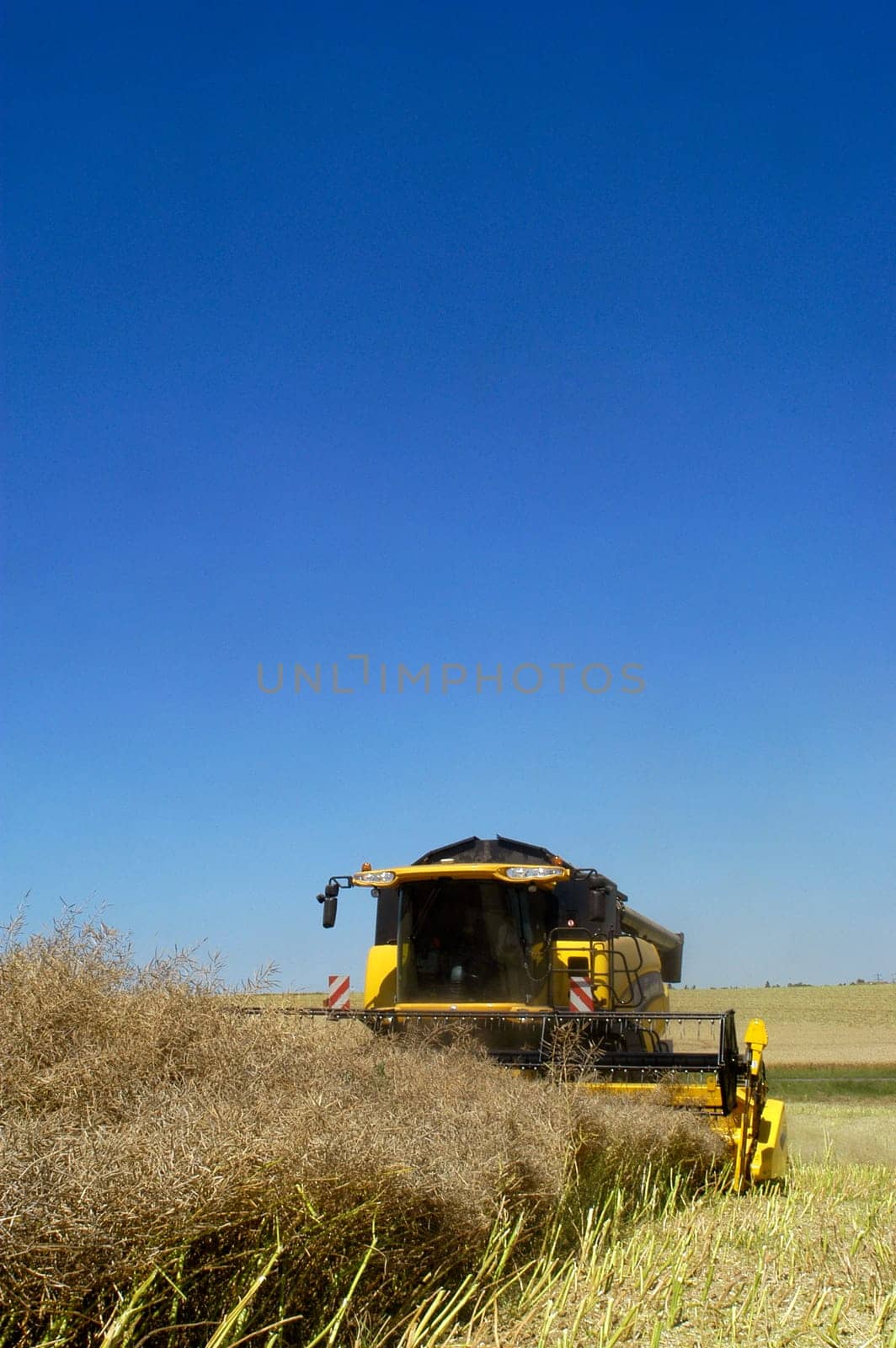 The harvest of colza with machines like a reaping-machine threshing-machine and tractor