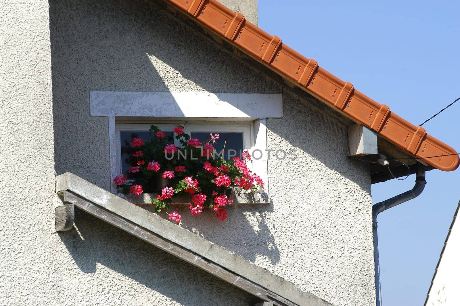 old small house