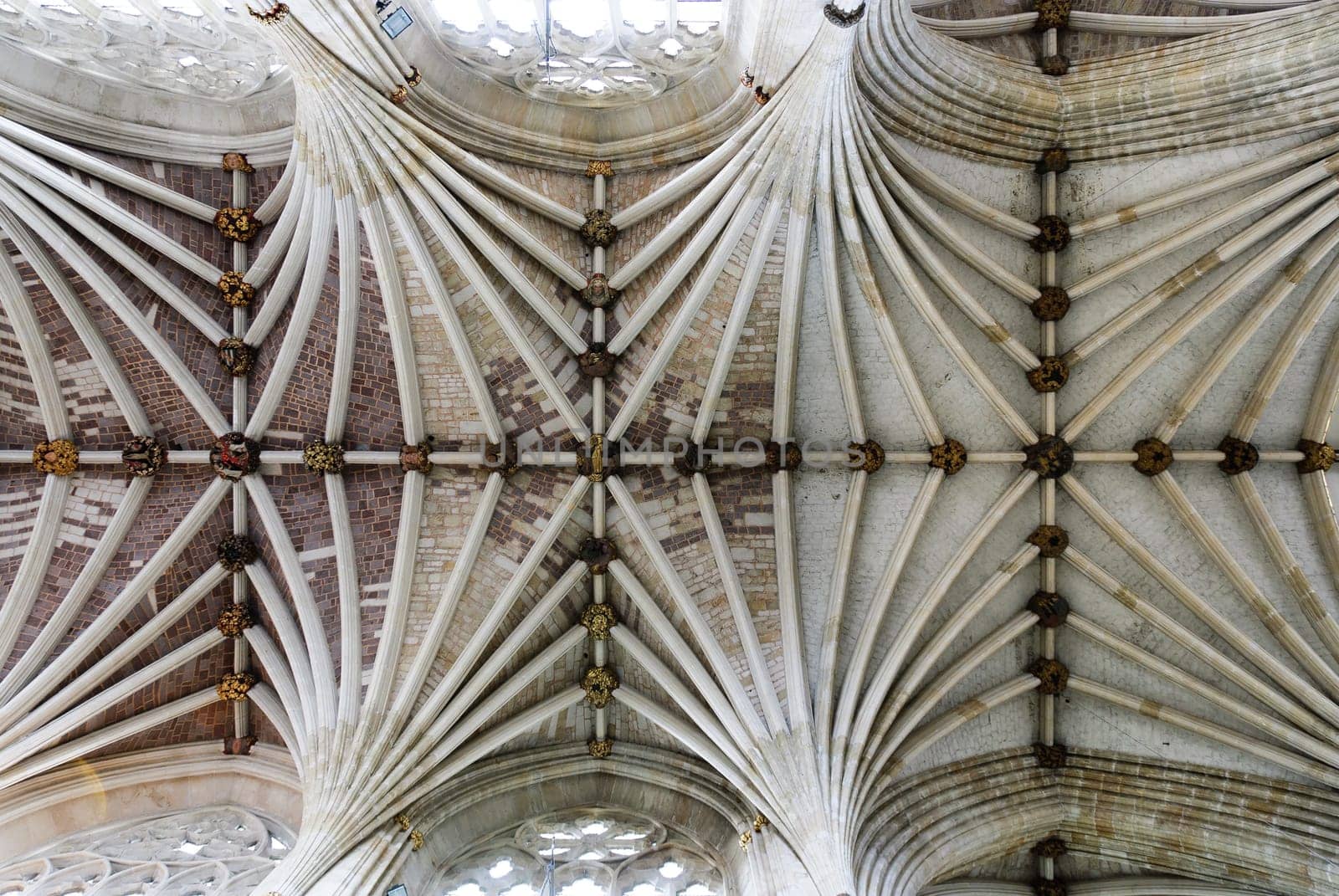Cathedral Church of St. Peter in Exeter in Devon