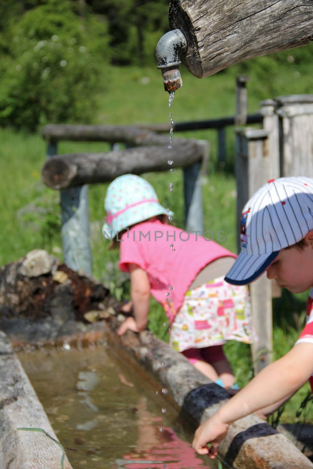 Children playing with water in nature