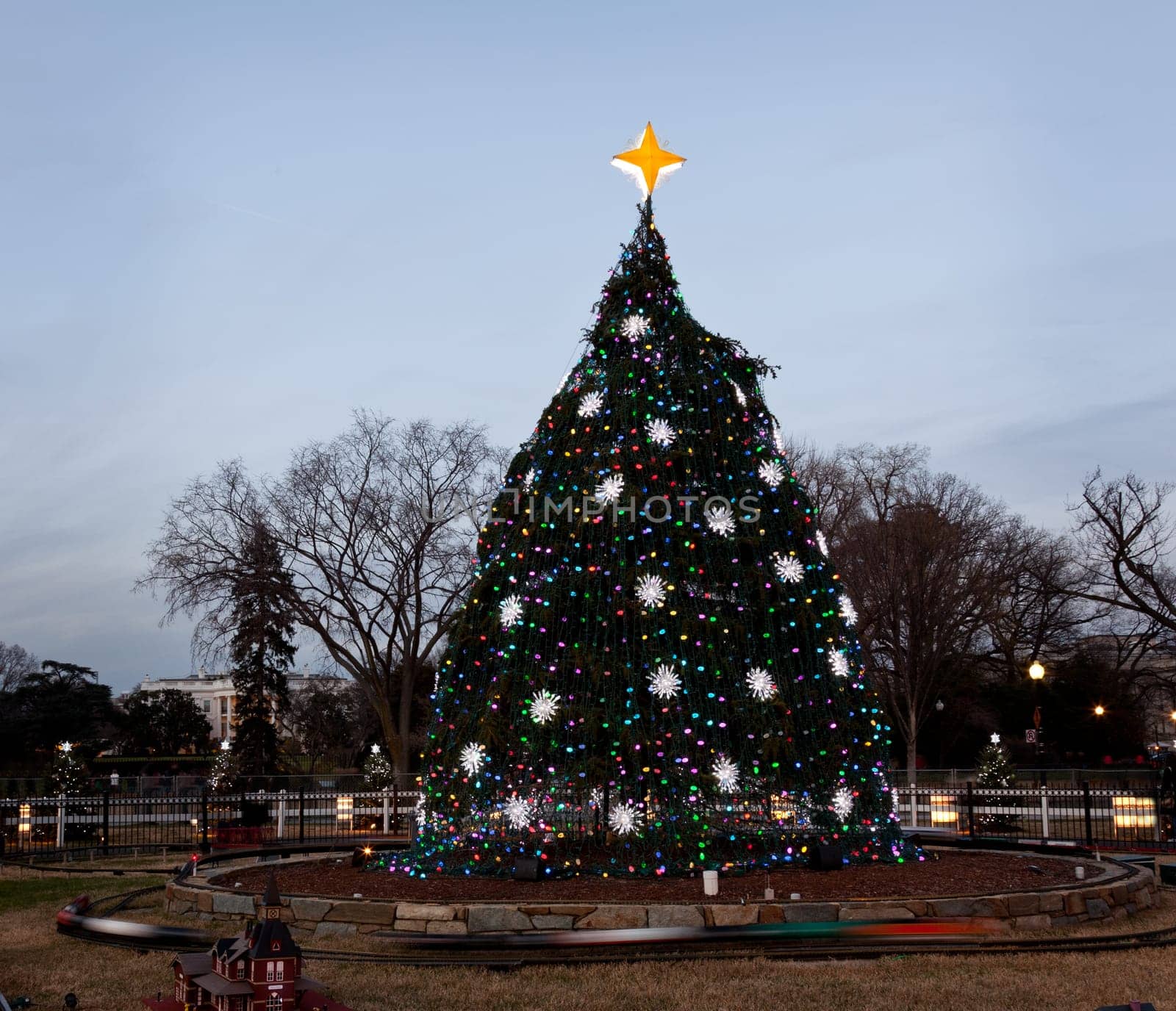 Washington DC national christmas tree with white house in the distance