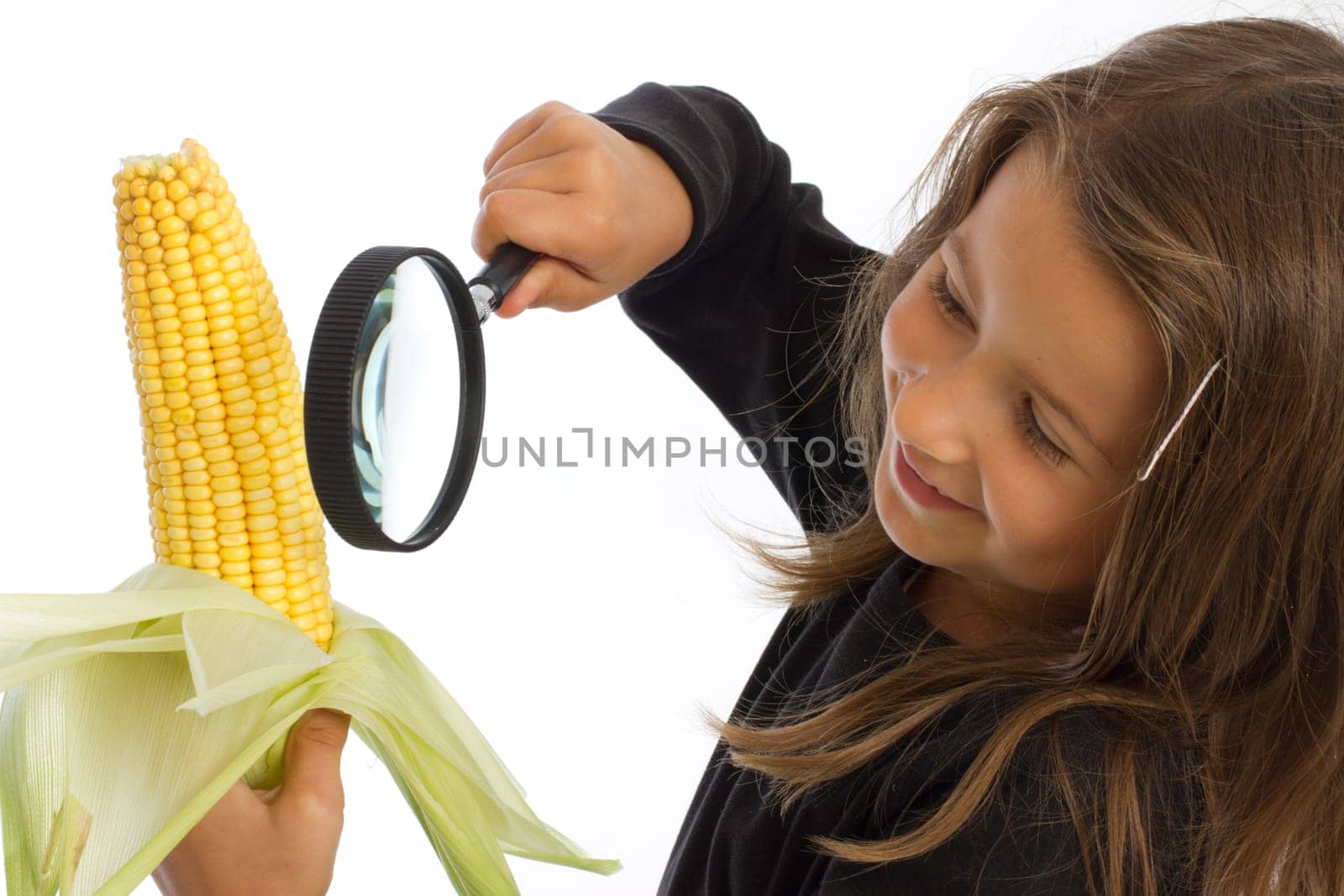 Six-year-old looking at corn on the cob (mr)