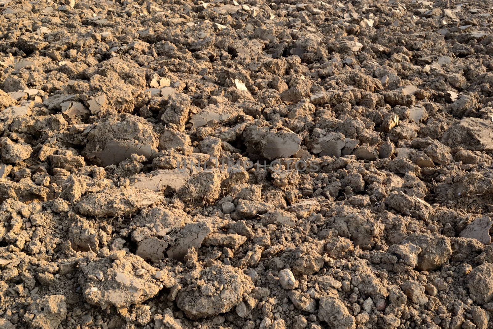 finished ploughed field