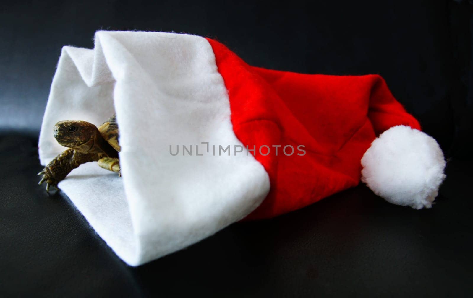 Christmas always comes so suddenly....
