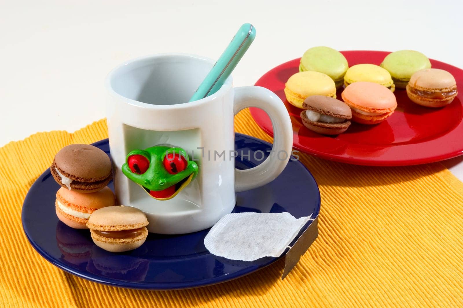 Macaroons in the studio