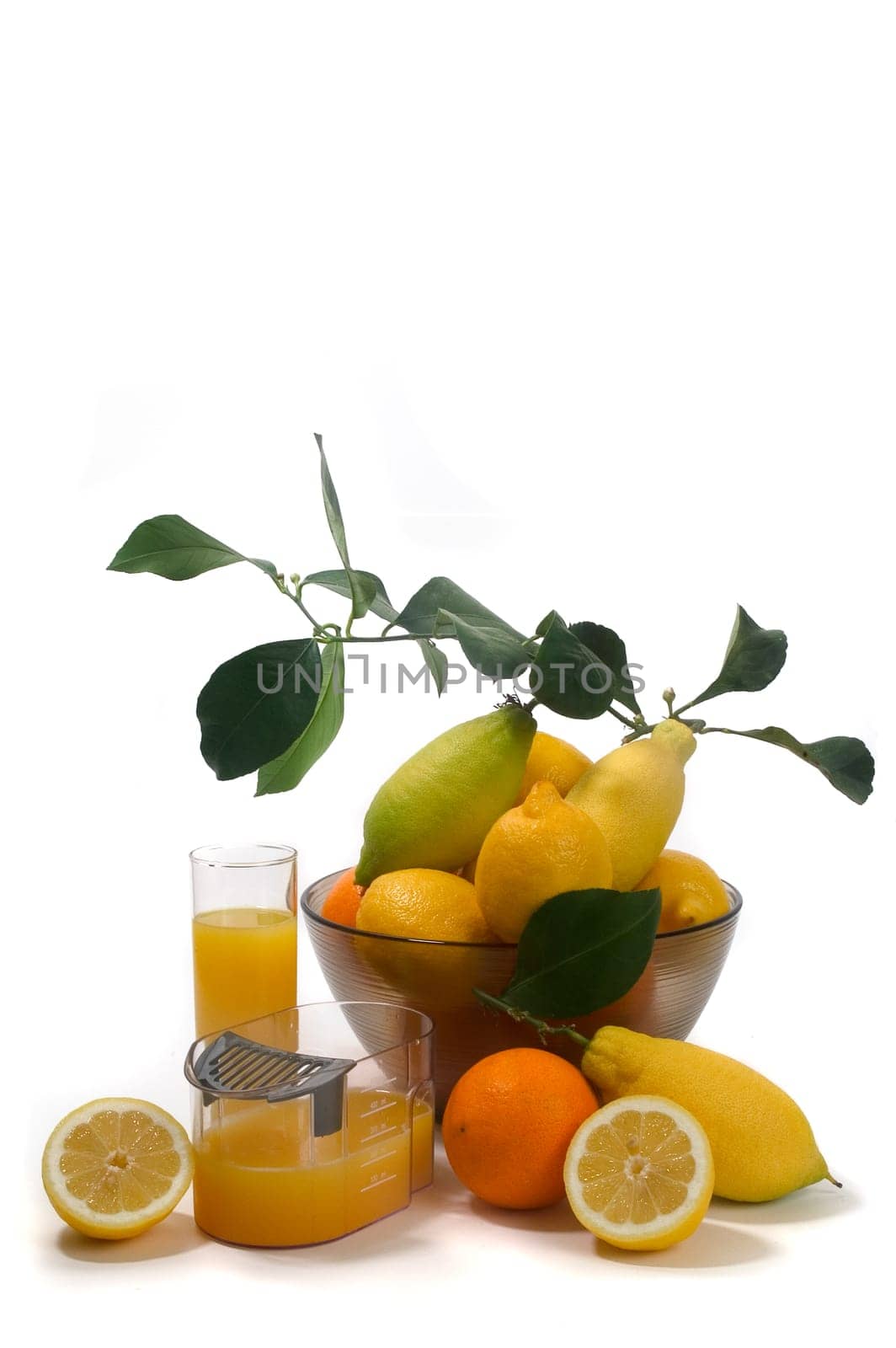 machine for pressing citrus