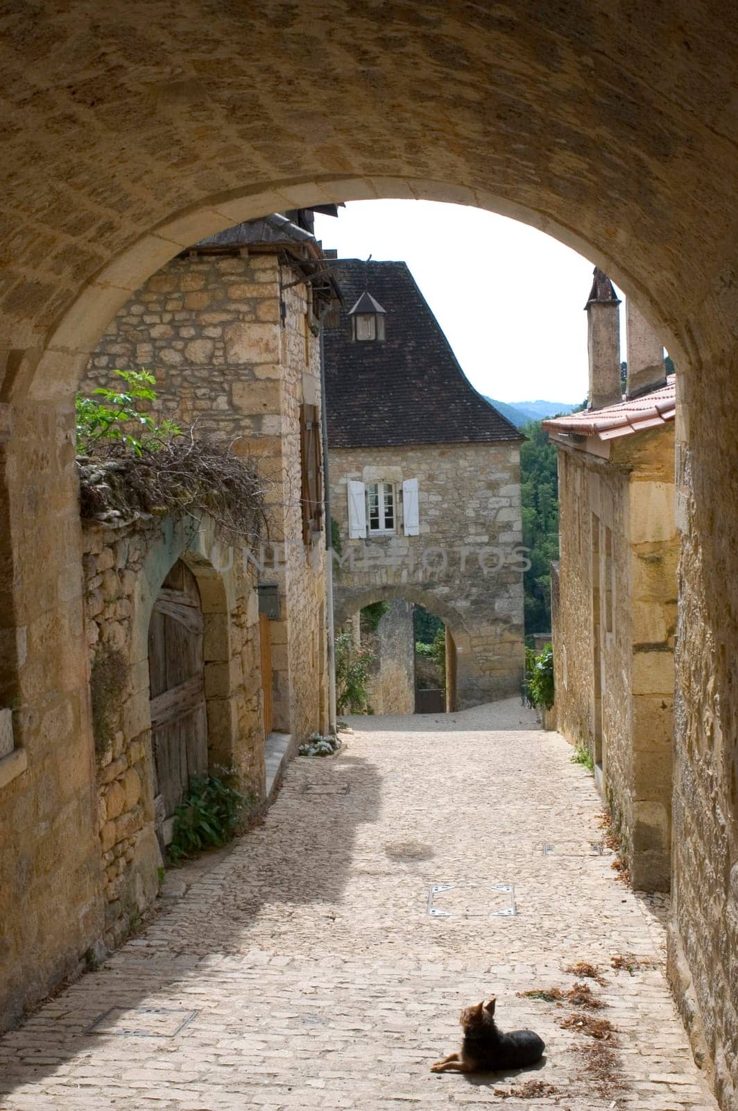 Castelnaud, the village and its castle. French village in the Perigord region where the war took place 100 years