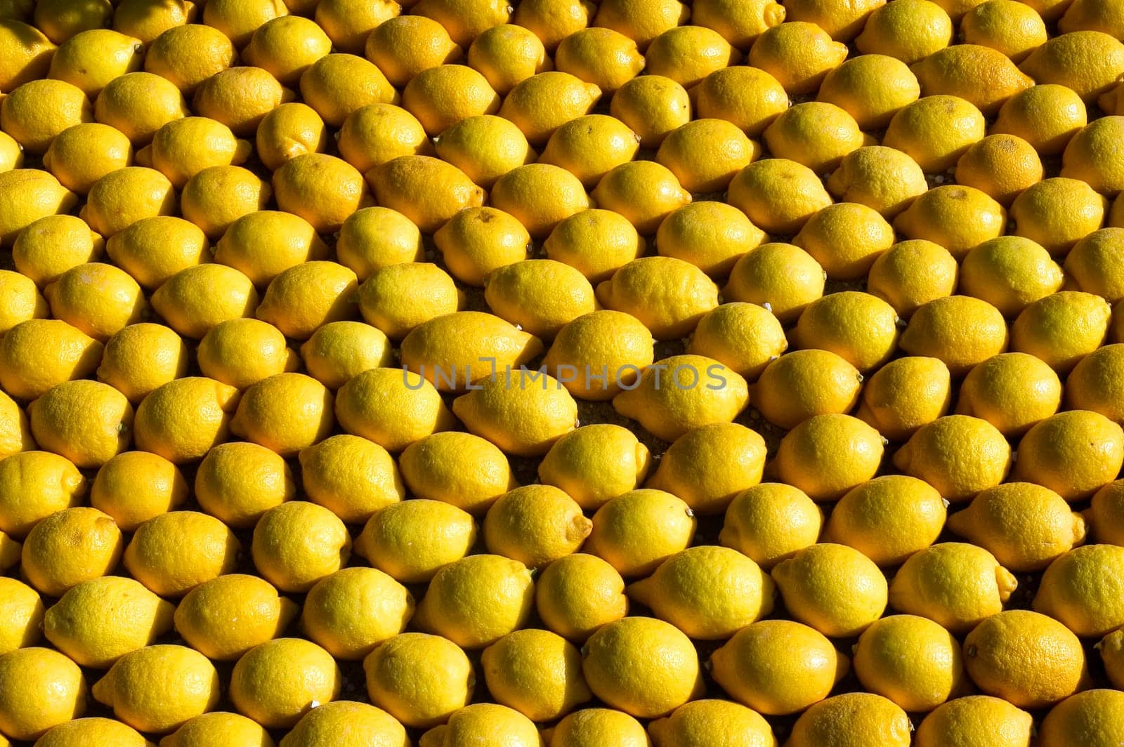 With this occasion the gardens are the theater of construction of monument out of oranges and lemons on a different topic each years.